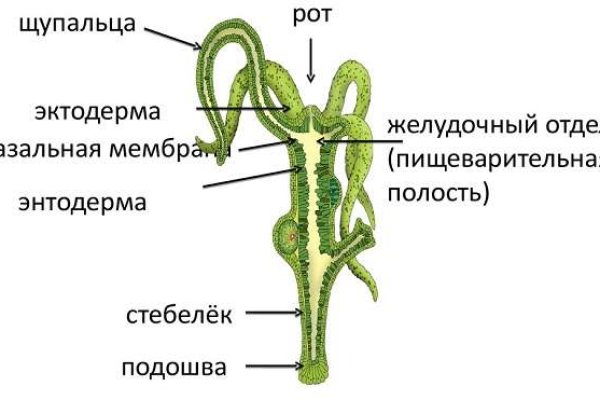 Kra15.gl